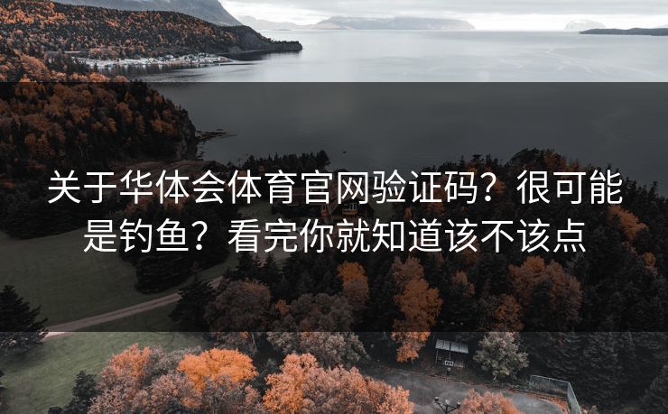 关于华体会体育官网验证码？很可能是钓鱼？看完你就知道该不该点