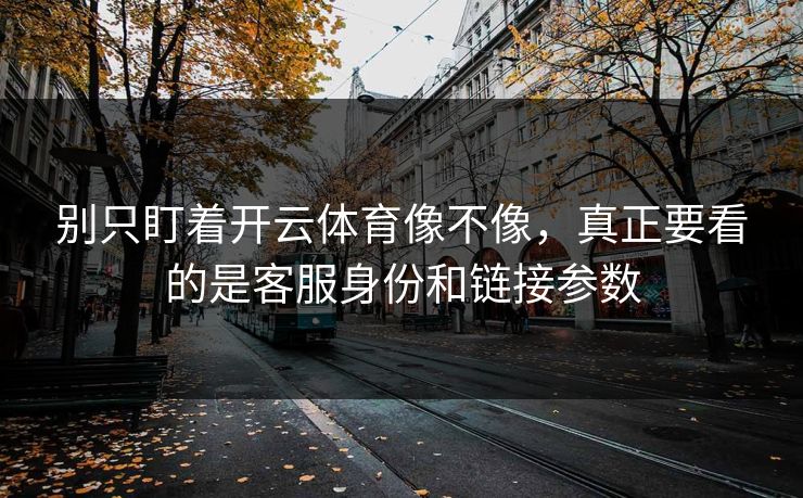 别只盯着开云体育像不像,真正要看的是客服身份和链接参数 别只盯着开云体育像不像,真正要看的是客服身份和链接参数
