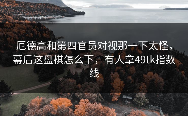 厄德高和第四官员对视那一下太怪，幕后这盘棋怎么下，有人拿49tk指数线