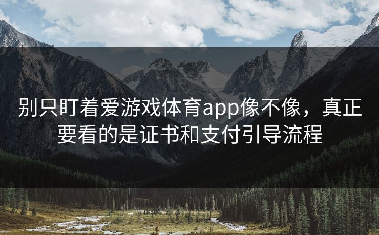 别只盯着爱游戏体育app像不像，真正要看的是证书和支付引导流程